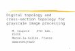 1 Digital topology and cross-section topology for grayscale image processing M. Couprie A 2 SI lab., ESIEE Marne-la-Vallée, France 