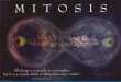 What is Mitosis? A form of cell division. Asexual reproduction in unicellular organisms. Growth and Repair in multicellular organisms