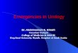 Emergencies in Urology Dr. Abdelmoniem E. Eltraifi Consultant Urologist College of Medicine & KKUH King Saud University, Riyadh, Kingdom of Saudi Arabia