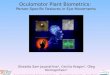 Oculomotor Plant Biometrics: Person-Specific Features in Eye Movements Ukwatta Sam Jayarathna ±, Cecilia Aragon *, Oleg Komogortsev ± * Lawrence Berkeley