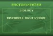 PHOTOSYNTHESIS BIOLOGY RIVERDELL HIGH SCHOOL. SO FAR…. Themes that keep arising: Structure/function: - proteins, -enzymes, cell membrane fluid- mosaic