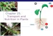 AP Biology Chapter 25. Transport and Nutrition in Plants