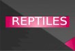 Characteristics of reptiles  The reptiles  The snakes  The lizards  The crocodriles  The turtles  Photos  Qestions  Videos