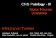 CNS Patology - III Motor Neuron Diseases Jaroslava Dušková Inst. Pathol. 1st. Med. Fac. jdusk/Charles University, Prague Intracranial