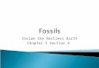 Inside the Restless Earth Chapter 3 Section 4.  A fossil of a preserved remains of once living organisms.  Fossils give clues about organisms that lived