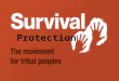 Protection. Protection is vital in ensuring the safety of indigenous communities. Protection is how communities like the Yanomami have a chance to survive