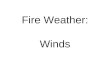Fire Weather: Winds. WINDS: general rules All winds blow in response to pressure differences: from high to low pressure What factors create pressure differences?