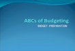 BUDGET PREPARATION. What is a Budget An itemized summary of expenditures Total sum of money allocated to your department A statement of the financial