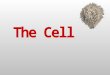 The Cell Theory 1. All organisms are made up of one or more cells. 2. Cells are the basic unit of life. 3. All cells arise from pre-existing cells