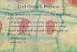 Cell Growth Review Size limitations—most cells are small, but size varies –Red Blood Cells less than 1mm diameter –Nerve cells up to a meter or more in