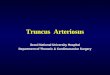 Truncus Arteriosus Seoul National University Hospital Department of Thoracic & Cardiovascular Surgery