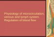 Physiology of microcirculation, venous and lymph system. Regulation of blood flow