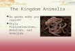 The Kingdom Animalia  Do worms make you squirm?  Phyla Platyhelminthes, Nematoda, and Annelida