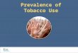Prevalence of Tobacco Use. Current user: A person who has smoked once in the last 30 days Prevalence of tobacco use: The proportion of current users in