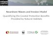 Nearshore Waves and Erosion Model Quantifying the Coastal Protection Benefits Provided by Natural Habitats