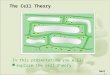 In this presentation you will: explore the cell theory The Cell Theory Next >