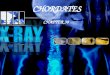CHORDATES CHAPTER 30. Identify the characteristics that all chordates share Explain what vertebrates are. Describe the two groups of non- vertebrate chordates