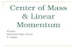 Center of Mass & Linear Momentum Physics Montwood High School R. Casao