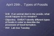 April 29th, Types of Fossils Drill: If an animal died in the woods, what would happen to it’s remains? Objective: SWBAT identify different types of fossils