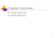 1 Chapter Overview TCP/IP Services TCP/IP Utilities