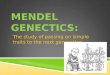 MENDEL GENECTICS: The study of passing on simple traits to the next generation