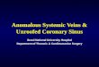 Anomalous Systemic Veins & Unroofed Coronary Sinus Seoul National University Hospital Department of Thoracic & Cardiovascular Surgery