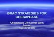 BRAC STRATEGIES FOR CHESAPEAKE Chesapeake City Council Work Session September 13, 2005