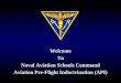 Welcome To Naval Aviation Schools Command Aviation Pre-Flight Indoctrination (API)