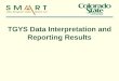 TGYS Data Interpretation and Reporting Results. Objectives Gain Confidence Apply your Knowledge Make Connections
