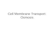 Cell Membrane Transport: Osmosis 8.1 Section Objectives – page 195 Section Objective: Predict the effect of a hypotonic, hypertonic, or isotonic solution