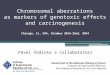 Chromosomal aberrations as markers of genotoxic effects and carcinogenesis Pavel Vodicka a collaborators Department of the Molecular Biology of Cancer,