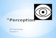 A.P. Psychology Chapter 6. * We must select, organize, and interpret our sensations – a process called perception. * We transform sensations into perceptions