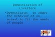 Domestication of Livestock Domesticate: to adapt the behavior of an animal to fit the needs of people