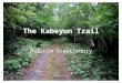 The Kabeyun Trail Malcolm Scantlebury. Sleeping Giant Provincial Park 244 square kilometres Located on the southern tip of the Sibley Peninsula, east