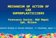 MECHANISM OF ACTION OF CAE SUPERPLASTICIZERS Francesco Surico, R&D Mapei SpA, Milano Technical Briefing on Concrete Admixture – S. Petersburg, August 1