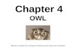 Chapter 4 OWL Based on slides from Grigoris Antoniou and Frank van Harmelen