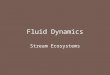 Fluid Dynamics Stream Ecosystems. Fluid Dynamics Lecture Plan First consider fluids, stress relationships and fluid types Then consider factors affecting