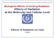 Biological Effects of Ionizing Radiation Effects of Radiation at the Molecular and Cellular Level Effects of Radiation on Cells Lecture IAEA Post Graduate
