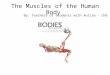 The Muscles of the Human Body By: Teachers of Students with Autism - CHS