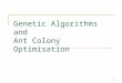 1 Genetic Algorithms and Ant Colony Optimisation