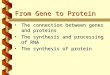 From Gene to Protein The connection between genes and proteinsThe connection between genes and proteins The synthesis and processing of RNAThe synthesis