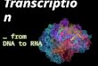 The Central Dogma of Molecular Biology replication transcription translation