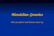 Mendelian Genetics How pea plants and humans mix it up