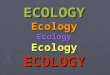 ECOLOGYEcologyEcologyEcologyECOLOGY.  Ecology comes from the Greek words OIKOS (place where one lives) and LOGOS (study of).  Then Ecology means to