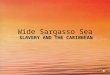 Wide Sargasso Sea SLAVERY AND THE CARIBBEAN. West Indies
