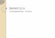 Genetics Intermediate Traits. Traits Most traits are controlled by more than 1 gene Most traits have multiple alleles
