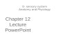 Chapter 12 Lecture PowerPoint D- sensory system Anatomy and Phyiology