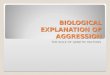 BIOLOGICAL EXPLANATION OF AGGRESSION THE ROLE OF GENETIC FACTORS