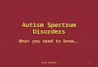 Katie Hoffman1 Autism Spectrum Disorders What you need to know…