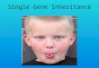 1 Single Gene Inheritance. 2 Inheritance Parents and offspring often share observable traits. Grandparents and grandchildren may share traits not seen